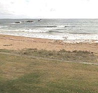 Penguin Caravan Park - Mackay Tourism