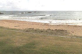Penguin Caravan Park - Mackay Tourism 0