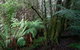 Silver Ridge Retreat - thumb 4