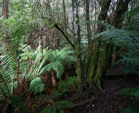 Silver Ridge Retreat - Mackay Tourism 4