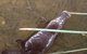 Silver Ridge Retreat - thumb 3
