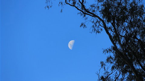 Gentle Annie Caravan And Camping Reserve - Mackay Tourism 4