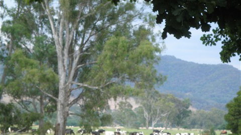 Gentle Annie Caravan And Camping Reserve - Mackay Tourism 3