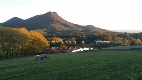 Cathedral Valley Farm - Mackay Tourism 2