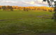 Rotherlea Lodge - thumb 4