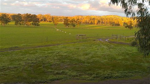 Rotherlea Lodge - Mackay Tourism 4