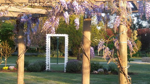 Stableford House Bed & Breakfast - Mackay Tourism 5