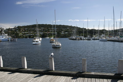 Bellehaven Tasmania - Mackay Tourism 6