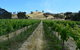Blue House At Mountainside Wines - thumb 1