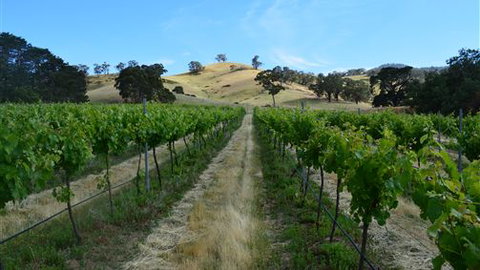 Blue House At Mountainside Wines - Mackay Tourism 1