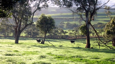 Bellevue Farmstay - Mackay Tourism 0