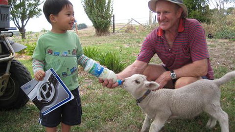 Bellevue Farmstay - Mackay Tourism 1