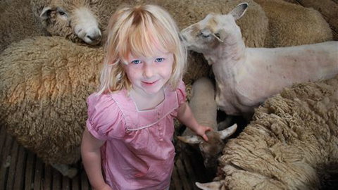 Bellevue Farmstay - Mackay Tourism 4