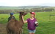 Bellevue Farmstay - thumb 8