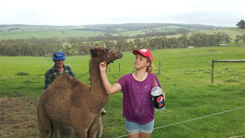 Bellevue Farmstay - Mackay Tourism 8