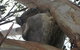 Bellevue Farmstay - thumb 7