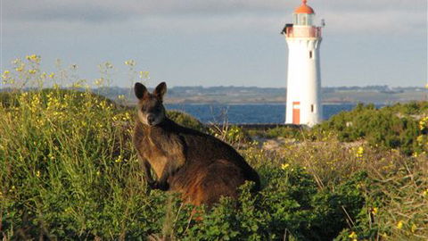 Port Fairy YHA - Mackay Tourism 2