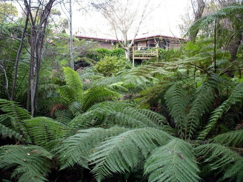 Adelaide Hills Bed & Breakfast Accommodation - Mackay Tourism 3