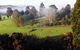 Balingup Vista Chalets - thumb 2