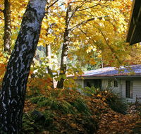 Bogong Village - Mackay Tourism