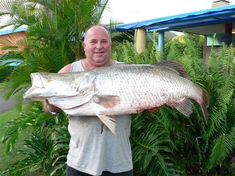 Conway Beach Tourist Park Whitsunday - Mackay Tourism 4