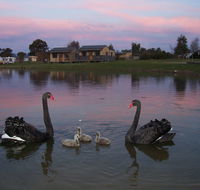 Mansfield Holiday Park - Mackay Tourism