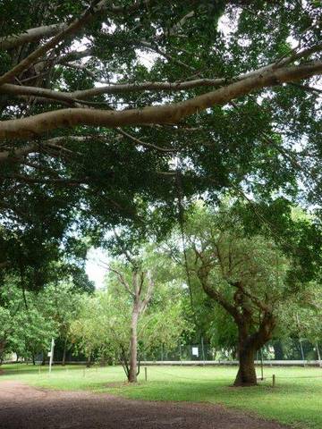 Discovery Holiday Parks - Darwin - Mackay Tourism 10