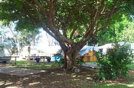 Donnybrook Caravan Park - Mackay Tourism 1