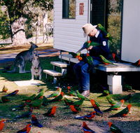 Inland Waters Holiday Parks Burrinjuck - Mackay Tourism