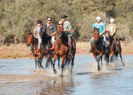Kalbarri Palm Resort Golden Chain - Mackay Tourism 4