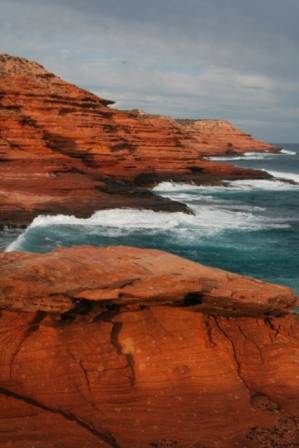 Kalbarri Palm Resort Golden Chain - Mackay Tourism 7