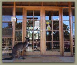 Kangaroo Island Wilderness Retreat - Mackay Tourism 1