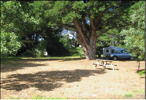 Millicent Hillview Caravan Park - Mackay Tourism 4