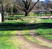 Mongans Bridge Camping Park - Mackay Tourism
