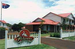 Pelicans Albany Middleton Beach - Mackay Tourism 0