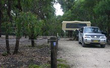 Bittangabee Campground - Mackay Tourism 1