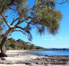 Currarong Beachside Holiday Park - Mackay Tourism