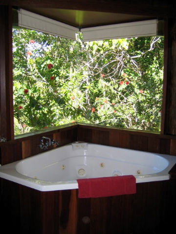 Rose Gums Wilderness Retreat - Mackay Tourism 3
