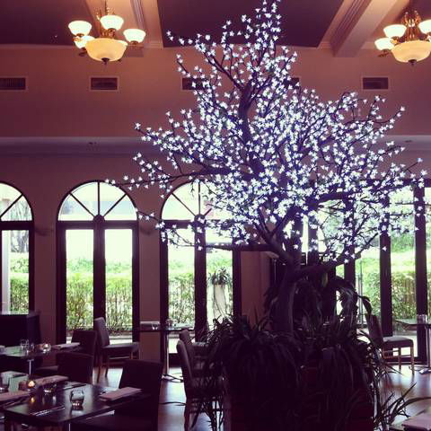 Shangri-La Gardens - Mackay Tourism 1