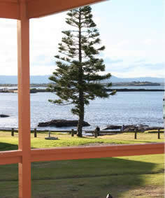 Shellharbour Beachside Tourist Park - Mackay Tourism 3