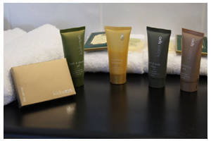 Shellharbour Village Motel - Mackay Tourism 3