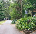 Tamborine Mountain Caravan  Camping - Mackay Tourism