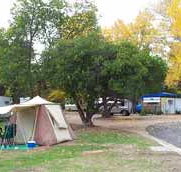 Wedderburn Pioneer Caravan Park - Mackay Tourism