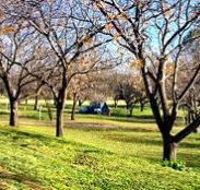 Wellington Caves Caravan Park - Mackay Tourism