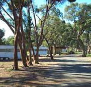 Wycheproof Caravan Park - Mackay Tourism