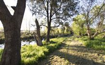 Fossickers Tourist Park - Mackay Tourism 5