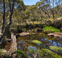 Junction Pools campground - Mackay Tourism