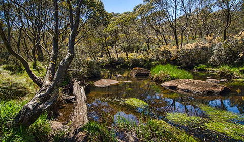 Junction Pools Campground - Mackay Tourism 0