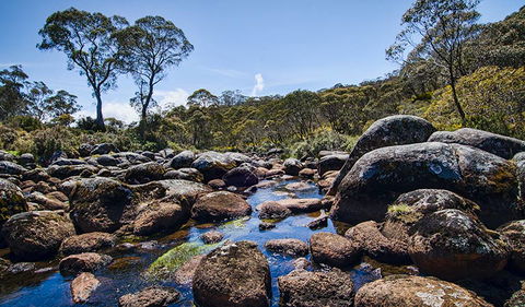 Junction Pools Campground - Mackay Tourism 2