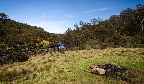 Junction Pools Campground - Mackay Tourism 1